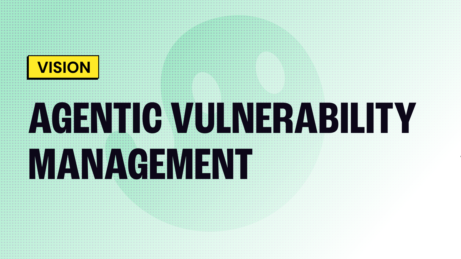 The Future of Vulnerability Management