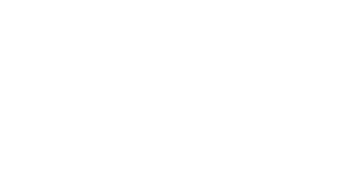 Wiz